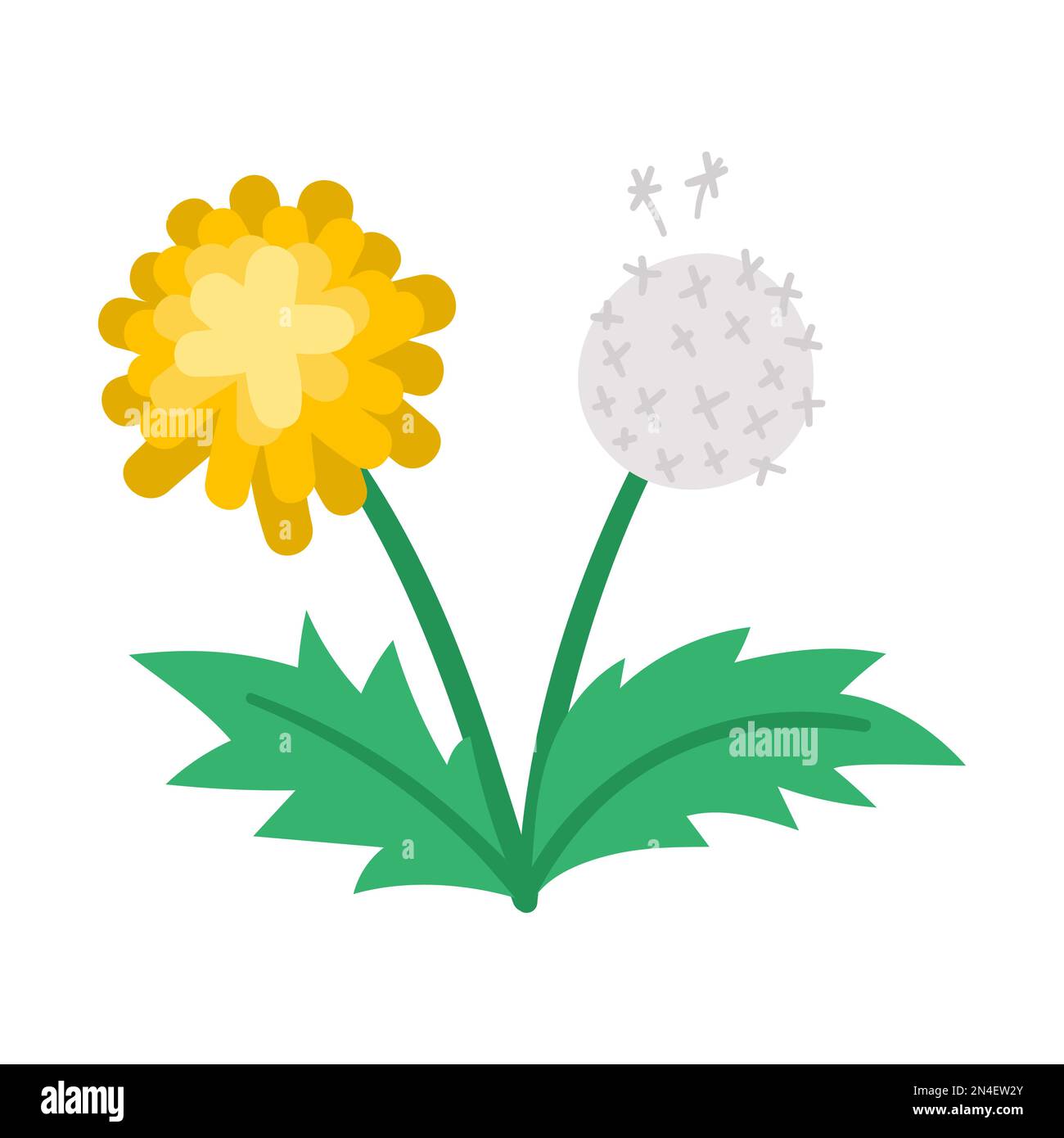 Foliage first plant Stock Vector Images Alamy
