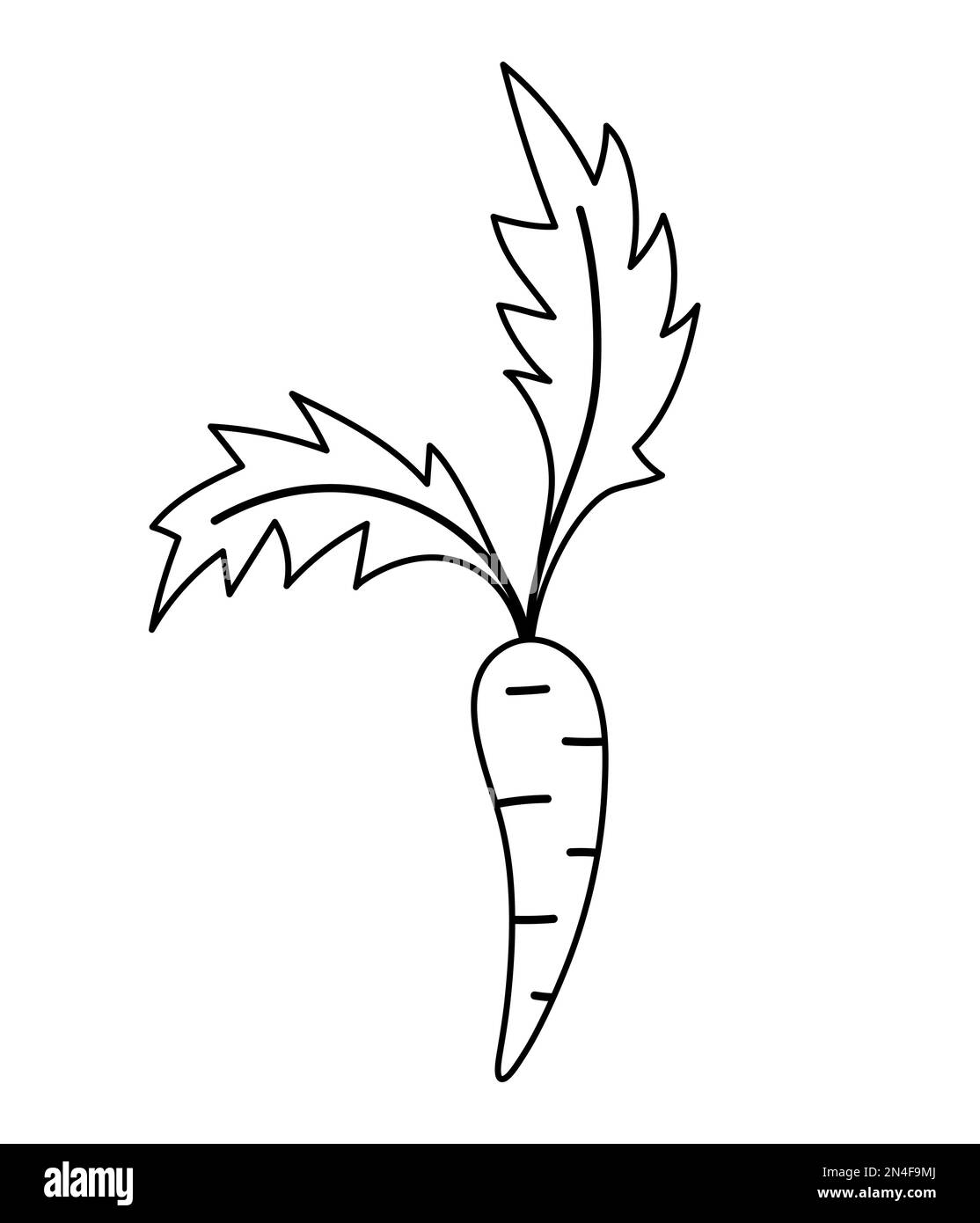 Vector black and white carrot icon. Healthy root vegetable outline