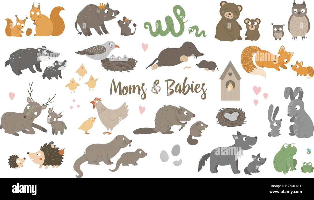 Vector big set of hand drawn flat baby animals with parents. Funny woodland animal scene showing family love. Cute forest animalistic illustration for Stock Vector