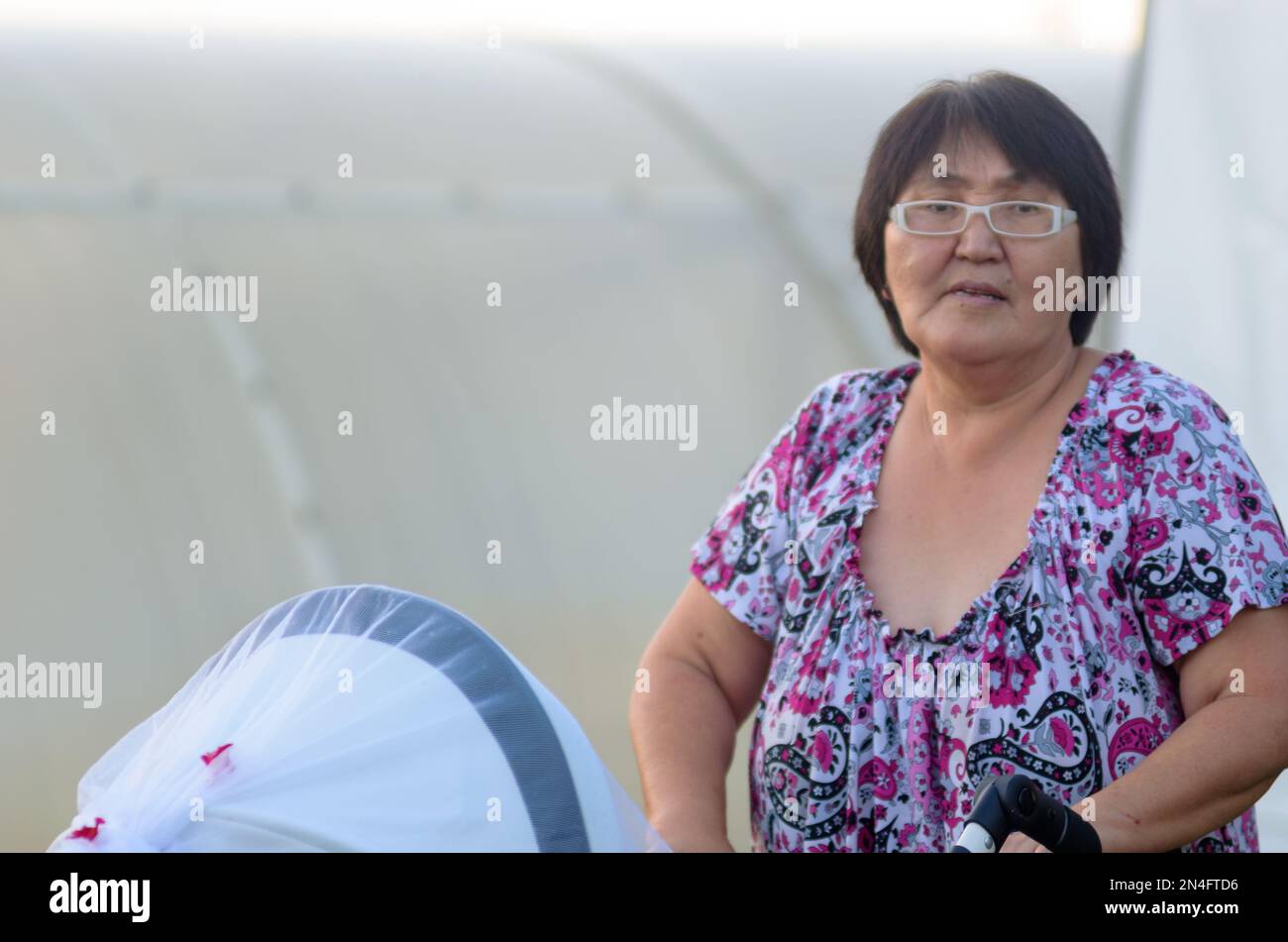 Tired elderly woman Yakut carries a stroller with a child on the background of greenhouses. Stock Photo