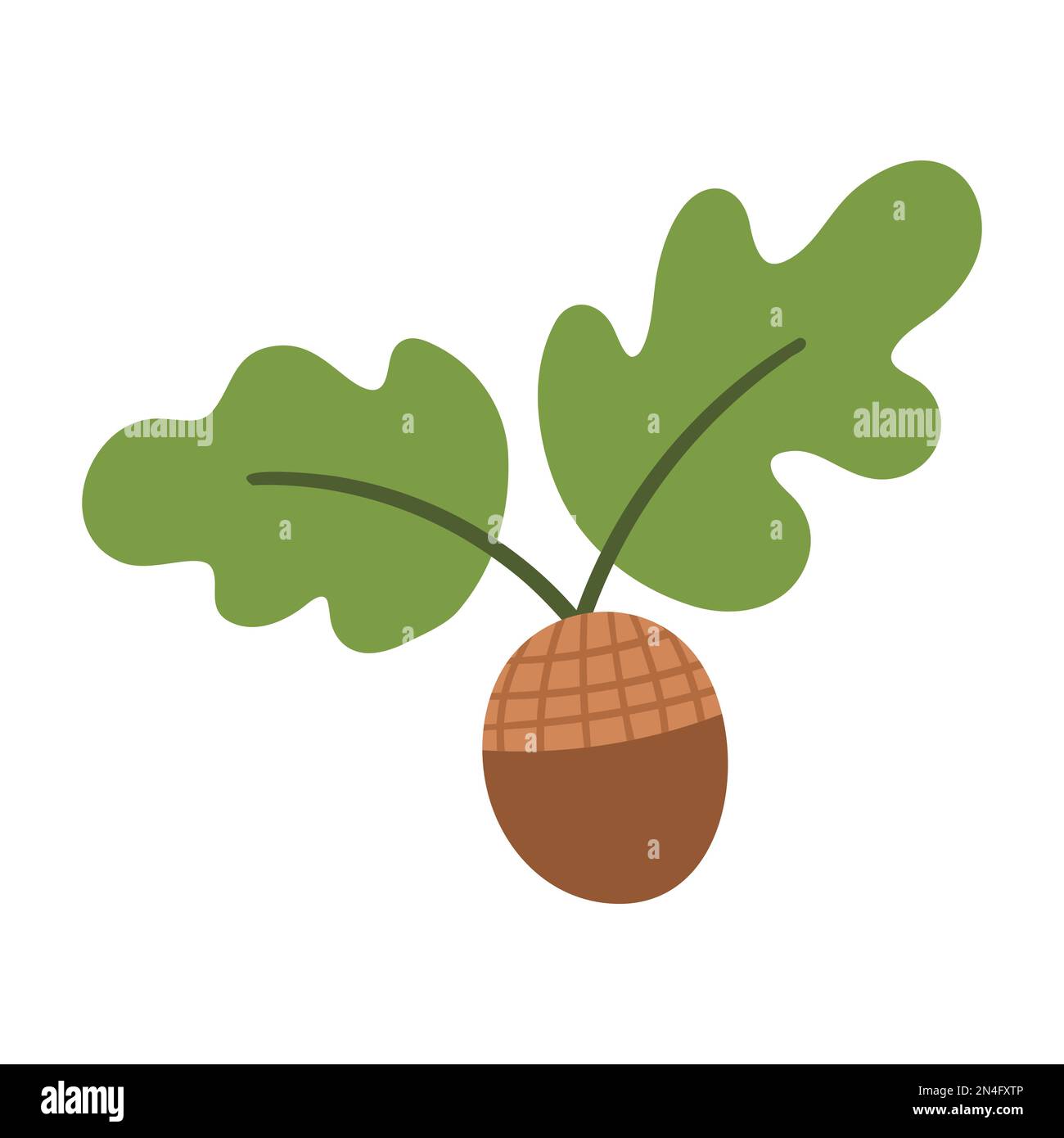 Vector flat acorn with oak leaves. Flat style autumn woodland icon ...