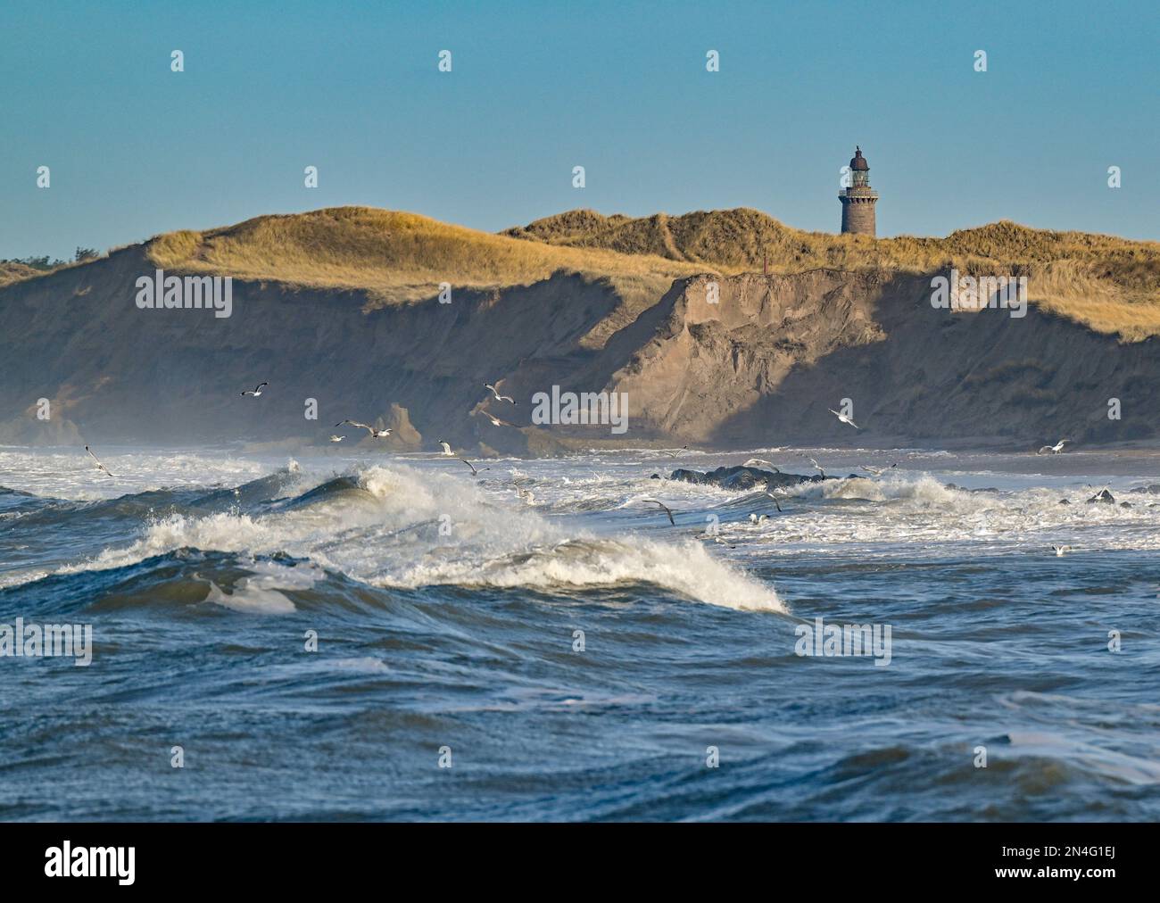 Agger, Denmark. 02nd Feb, 2023. Waves of the North Sea on the west coast at the National Park Thy with the lighthouse Lodbjerg. The national park stretches from Agger Tange in the south to Hanstholm in the north. Credit: Patrick Pleul/dpa/Alamy Live News Stock Photo