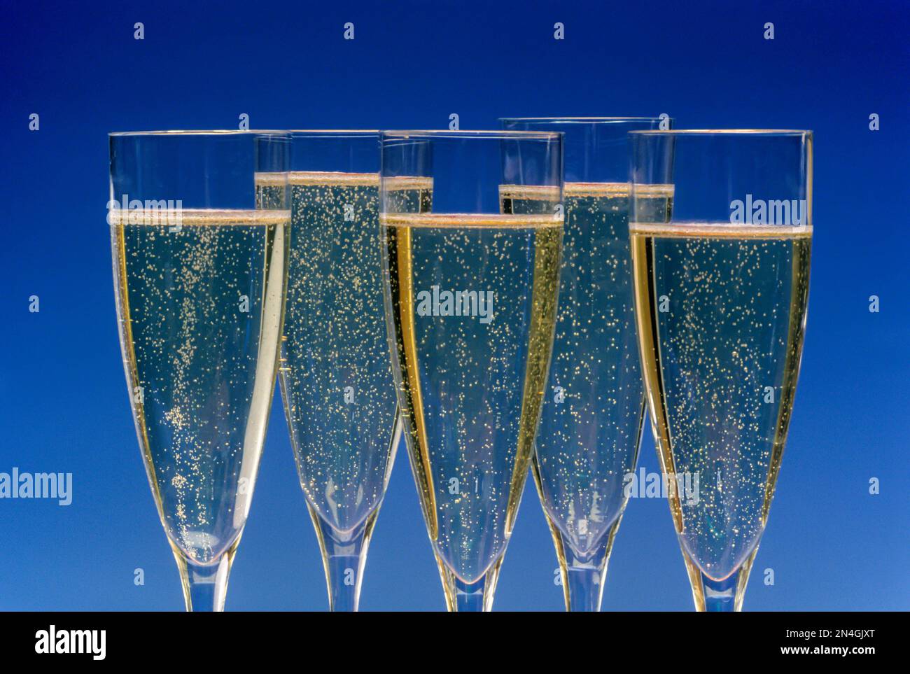 ROW OF FULL CHAMPAGNE GLASSES Stock Photo Alamy