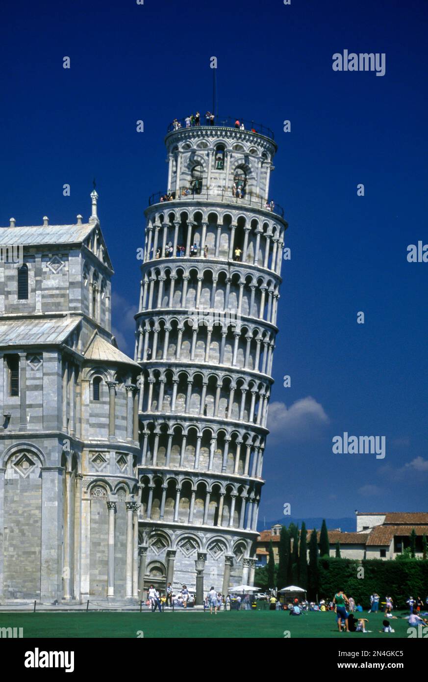 DOUMO WITH LEANING BELL TOWER PISA TUSCANY ITALY Stock Photo