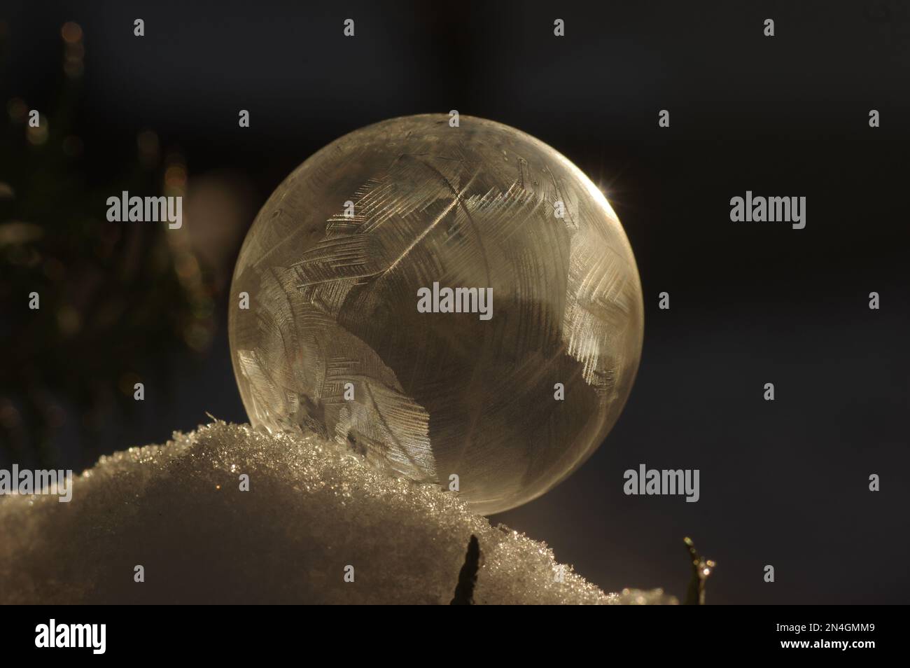 Frozen bubble, soap bubble in the frost Stock Photo