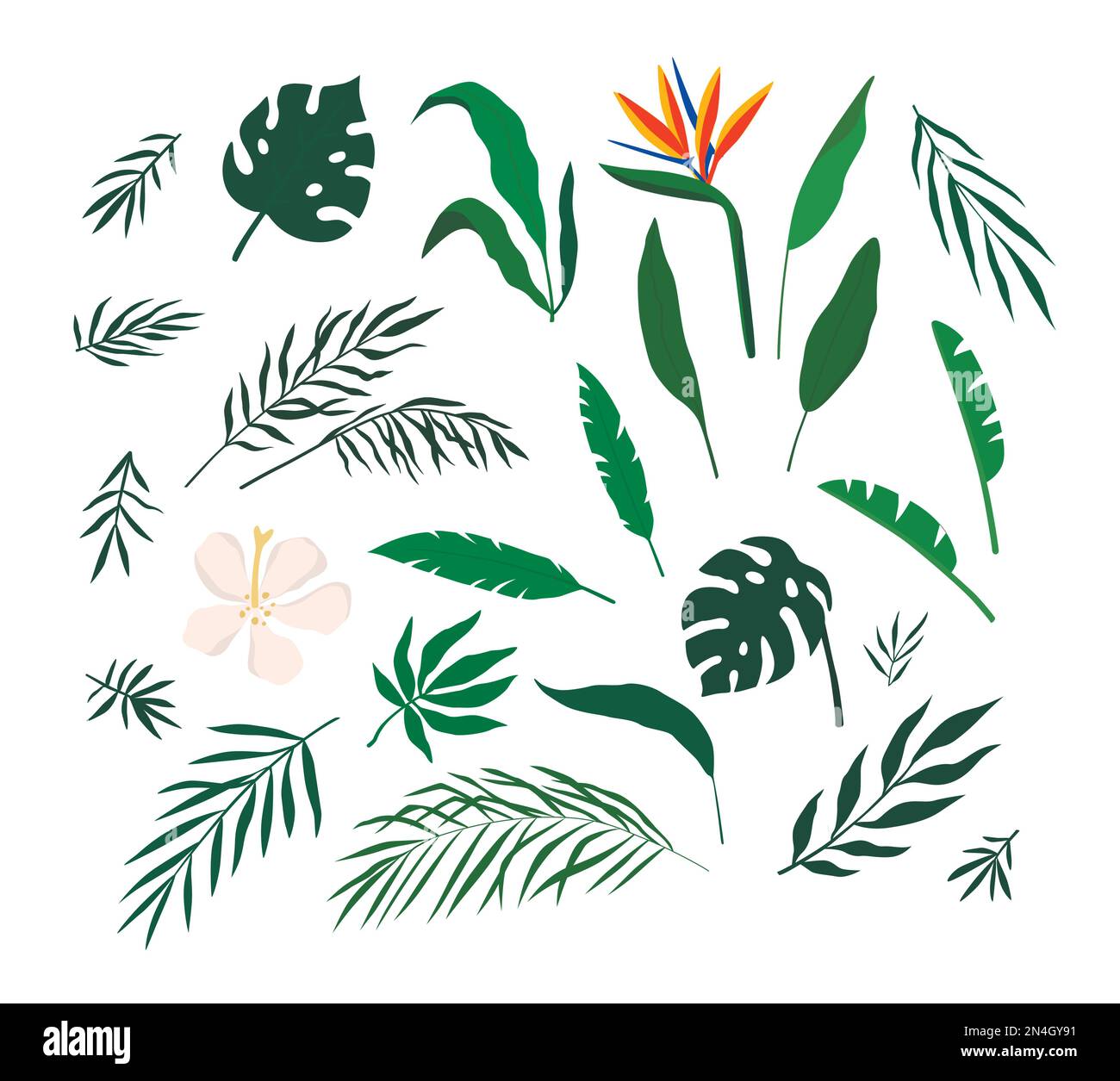 Vector illustration set of tropical leaves and flowers isolated on ...
