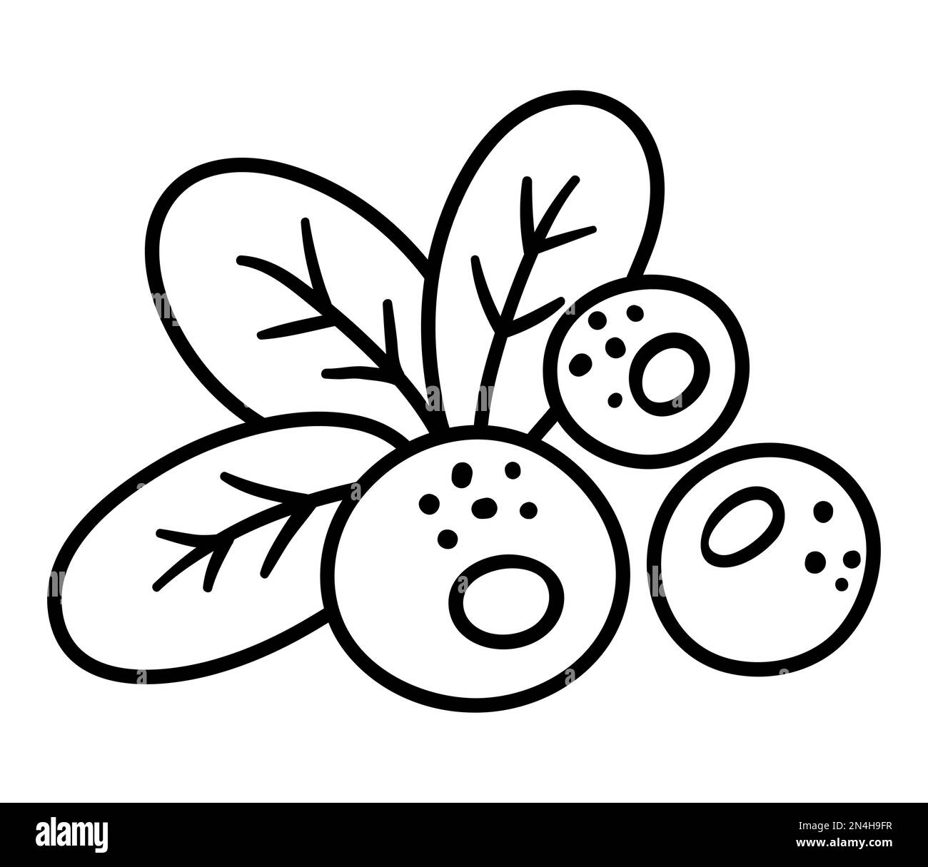 Vector black and white cranberry. Outline autumn woodland berry. Forest food icon or coloring page isolated on white background. Stock Vector