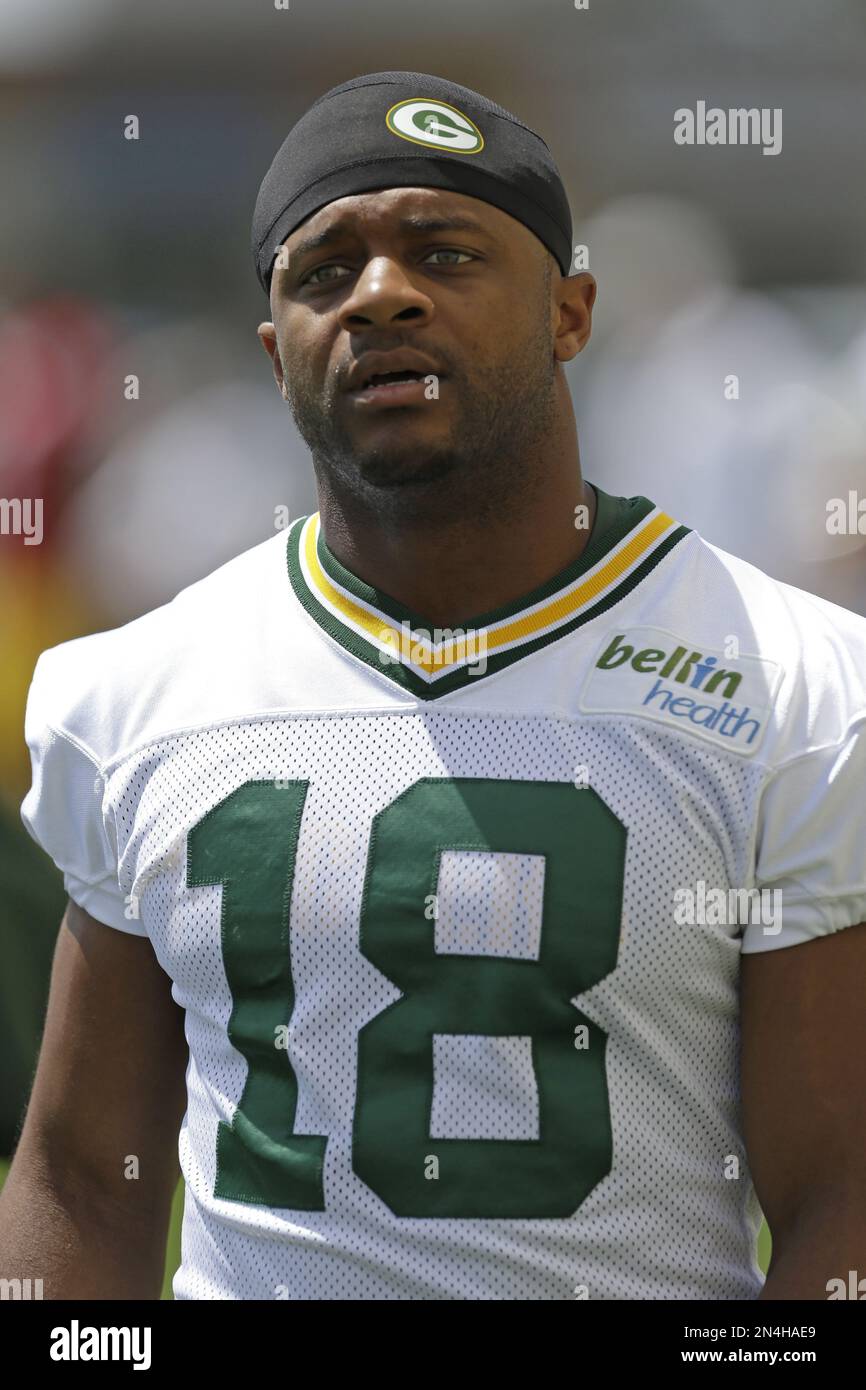 Green Bay Packers wide receiver Randall Cobb during an NFL football