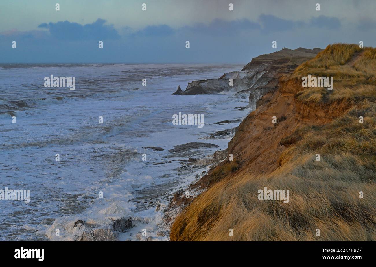 Agger, Denmark. 30th Jan, 2023. The stormy surf of the North Sea on the dunes of the west coast at the National Park Thy. The national park stretches from Agger Tange in the south to Hanstholm in the north. Credit: Patrick Pleul/dpa/Alamy Live News Stock Photo