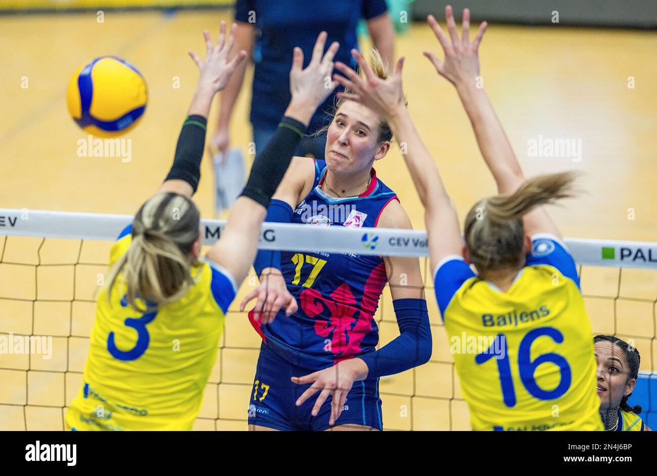 Cev volleyball women hi-res stock photography and images - Page 8