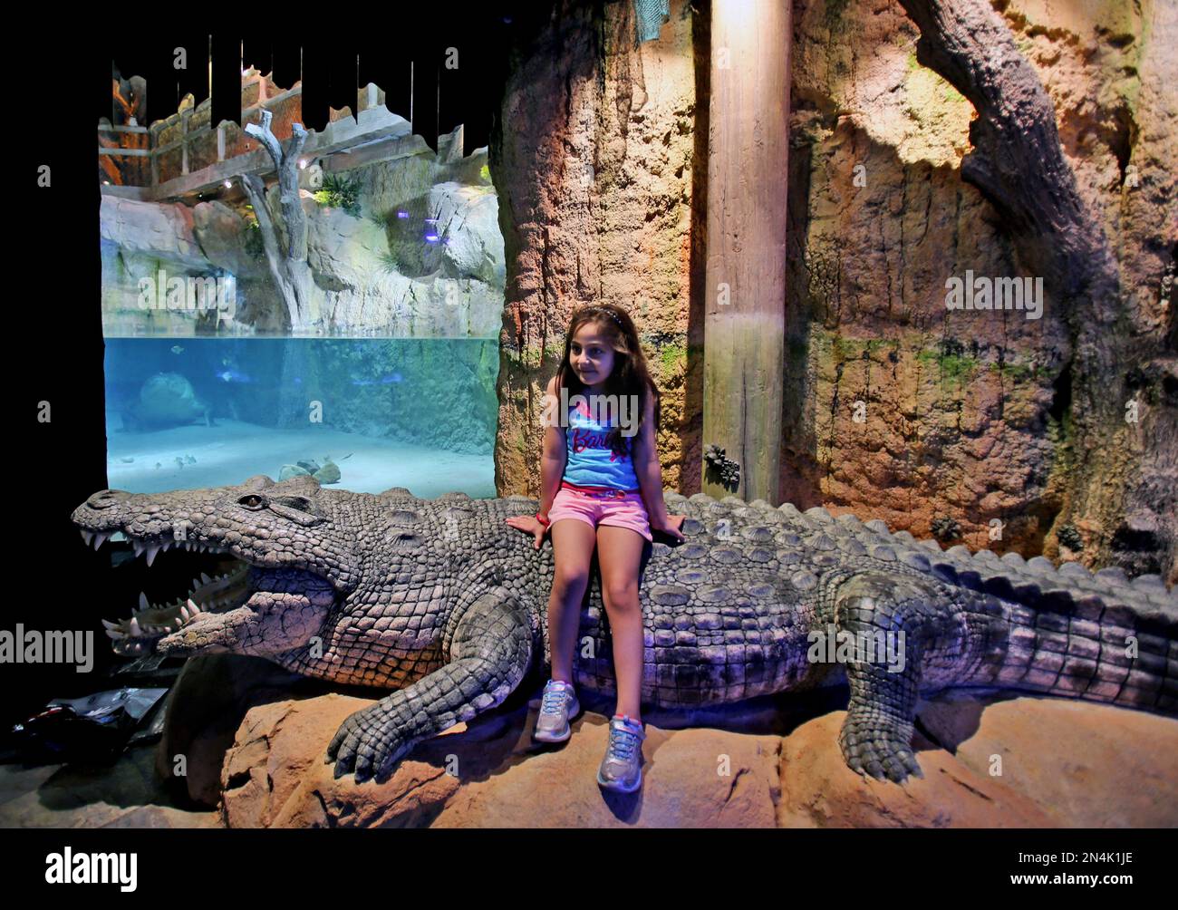 Summen system Stor King Croc, Crocodile in Dubai aquarium Stock Photo - Alamy