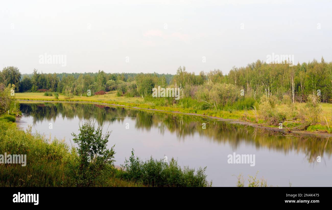 Overgrown with grass and remains of birches bar wild Northern lake with a reflection of the forest in Yakutia in the summer in the green grass and the Stock Photo