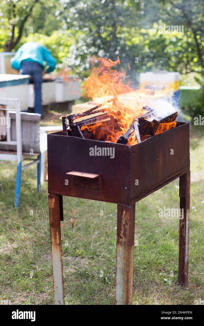 Fire in grill destroying frame struck by wax moth. Fighting parasites. Bee diseases. Veterinary in beekeeping Stock Photo