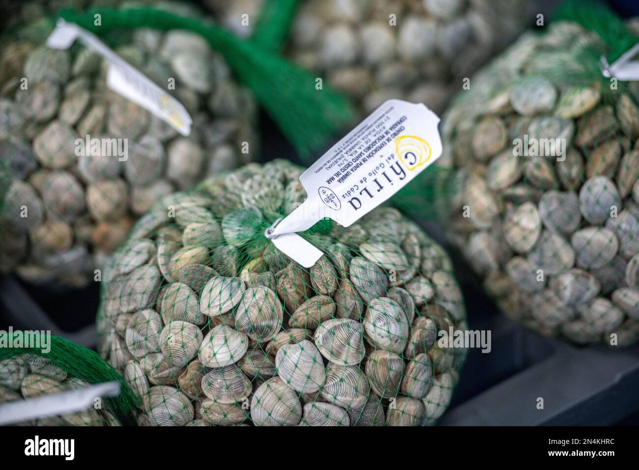 Bags of clams, Fishing port, Punta Umbria, Spain Stock Photo Alamy