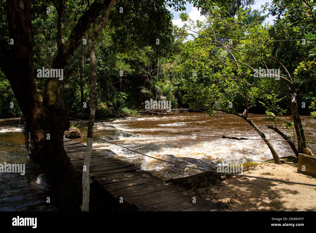 River flowing in the forest. Tree fallen to the river Stock Photo - Alamy