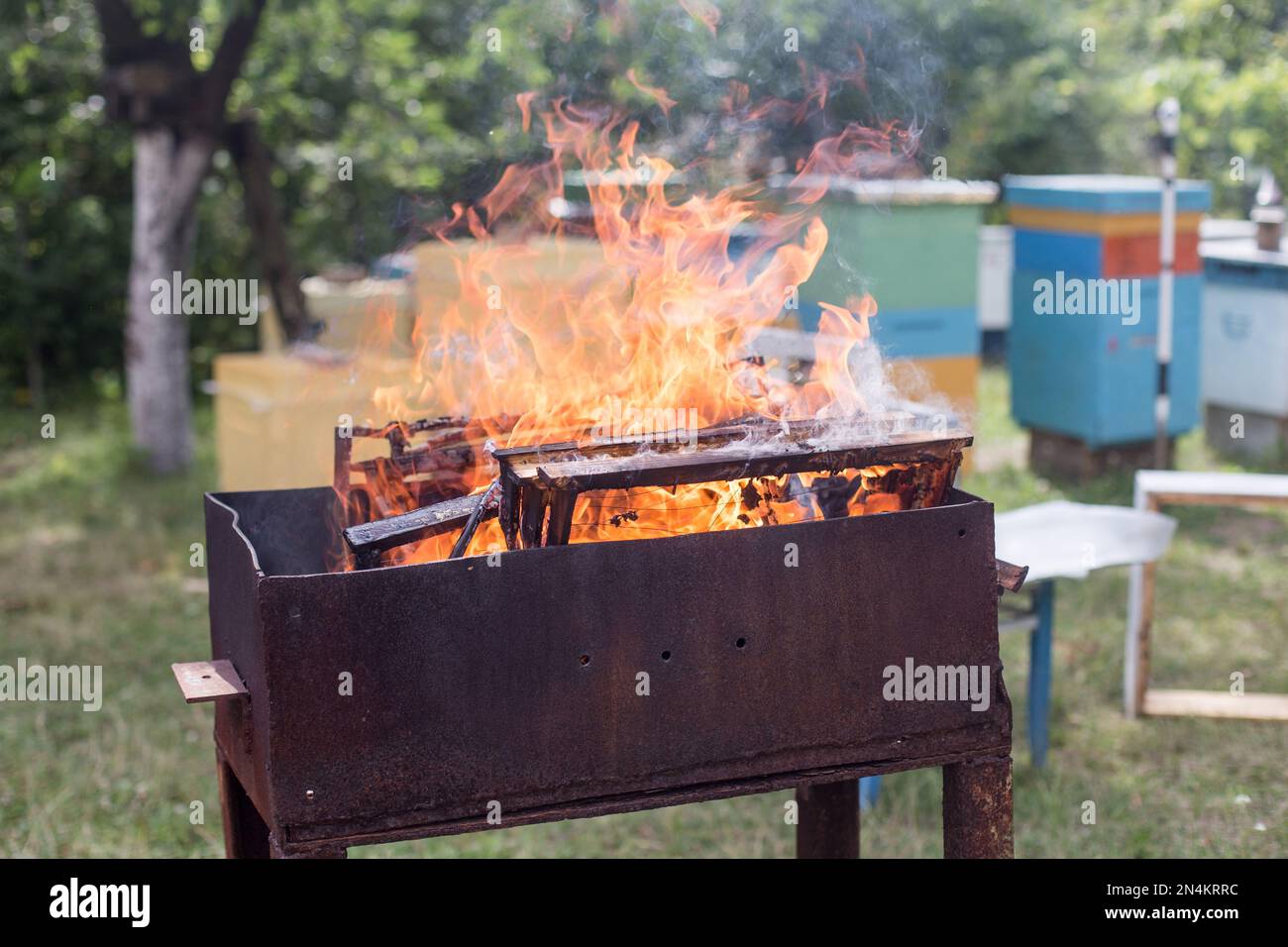 Frameworks with pests of honey bees are burned against background of apiaries and hives. Wax moth larvae burn in flames. Fighting parasites in beekeep Stock Photo