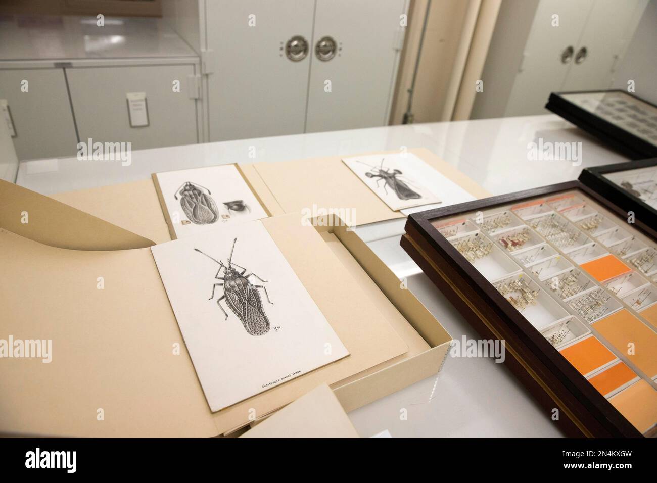 This photo taken June 5, 2014 shows a room where the Drake bug ...