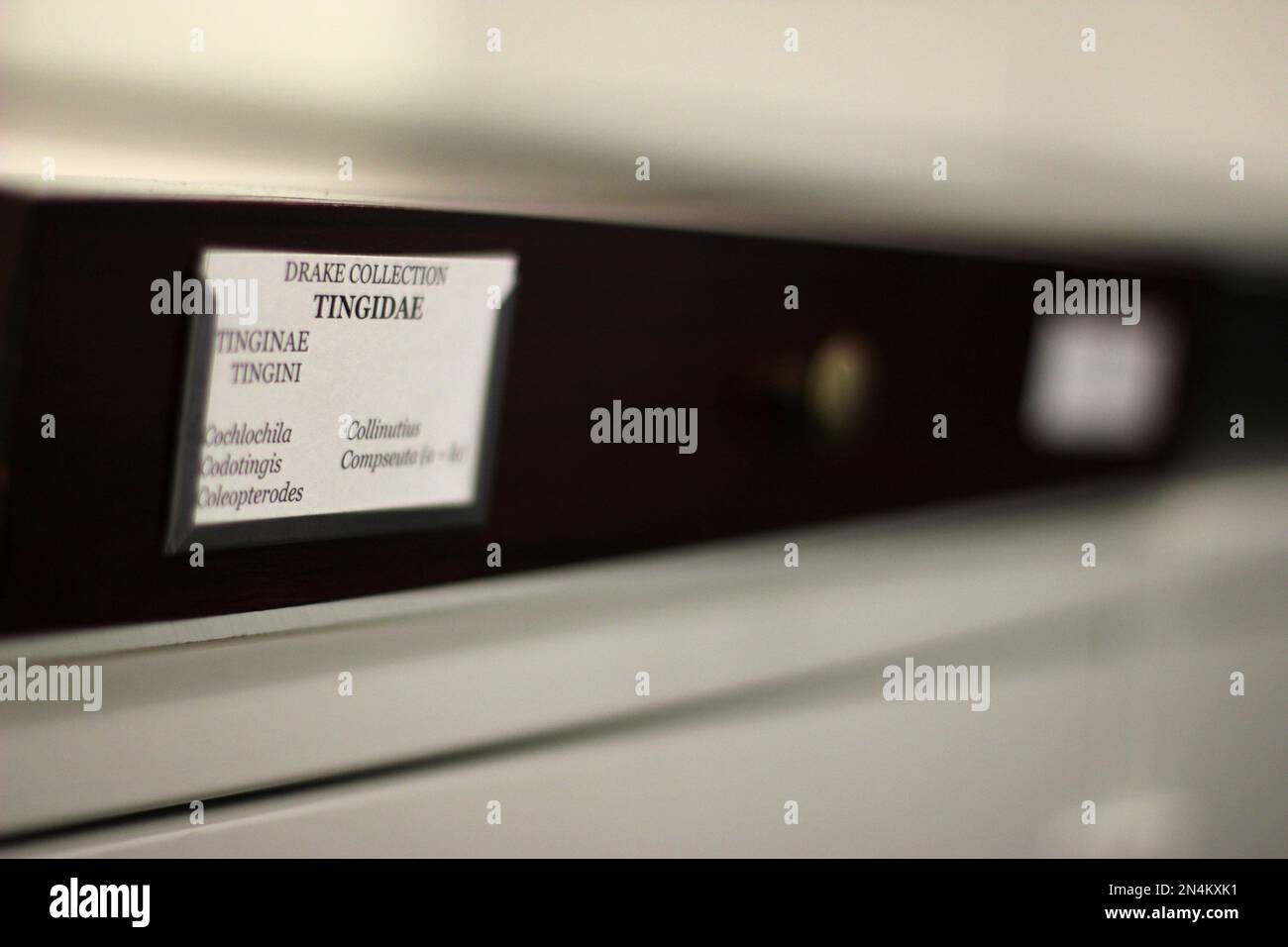 This photo taken June 5, 2014 shows part of the room where the Drake ...