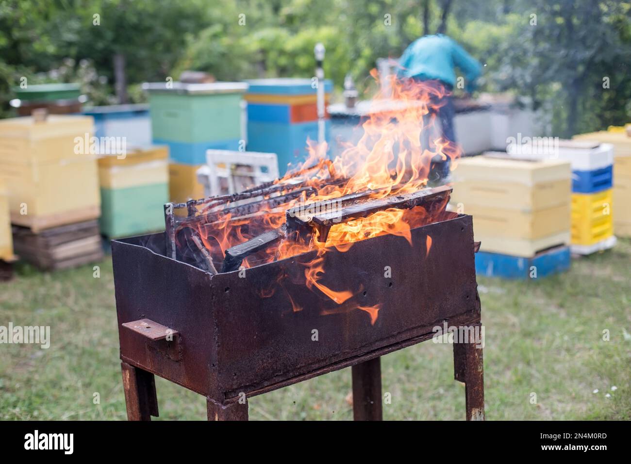 Fighting honeybee diseases. Frames damaged by wax moth larvae in the fire. Medicine in beekeeping. Stock Photo