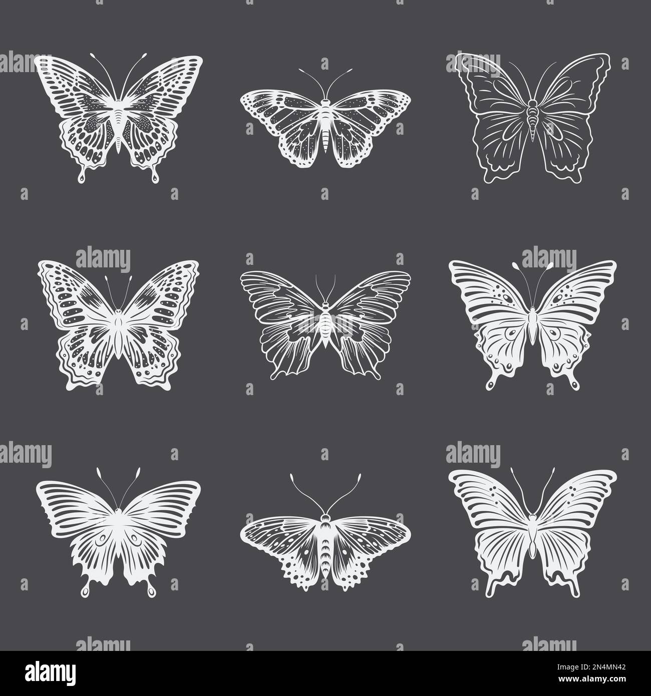 Vector Monochrome Black and White Hand Drawn Butterfly Icon Set ...