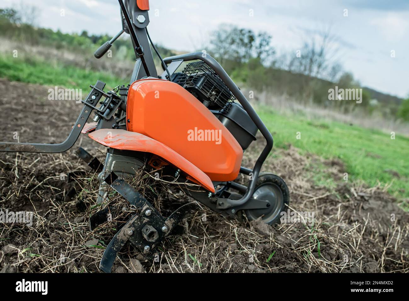 Cultivator in an uncultivated field in the spring. Virgin land with