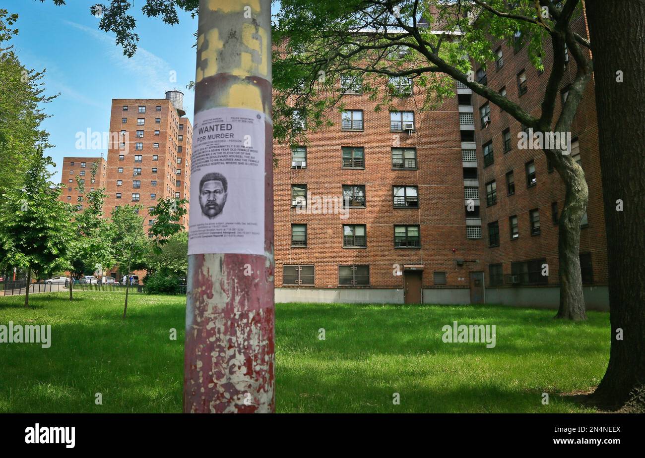 a-reward-poster-posted-at-the-boulevard-houses-shows-a-police-sketch