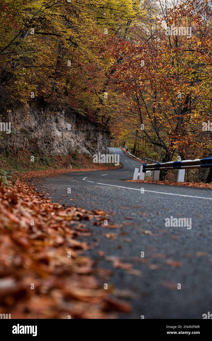 A vertical shot of a winding road in Dilijan, Armenia in autumn Stock Photo