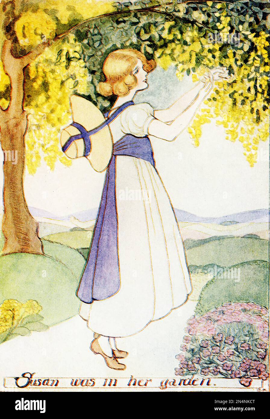 The 1917 caption reads: “Bending down a branch of the Laburnum tree- Queen of the May - Story - Simple Susan.” Simple Susan was written by Maria Edgeworth (died 1849), a prolific Anglo-Irish novelist of adults' and children's literature. She was one of the first realist writers in children's literature and was a significant figure in the evolution of the novel in Europe, and Louey Chisholm, a prolific children’s book writer.  The bright yellow flowers hang in pendulous racemes up to 25 cm (10 inches) in length and produce pods that are slender and compressed. All parts of laburnums are poisono Stock Photo