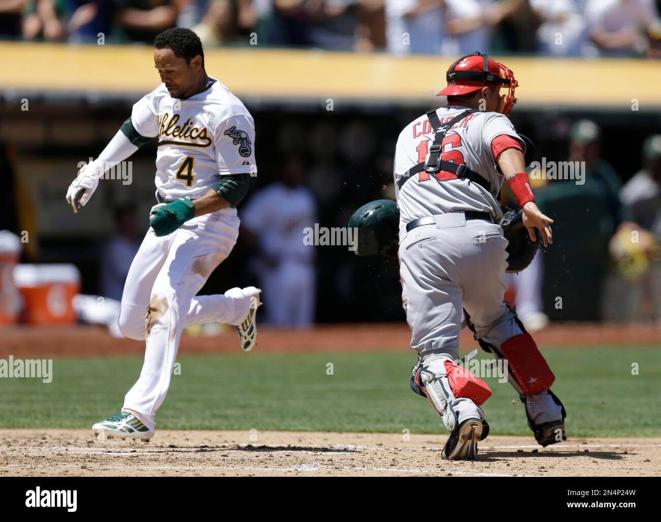 Oakland Athletics' Coco Crisp, left, scores past Los Angeles Angels catcher Hank Conger in the