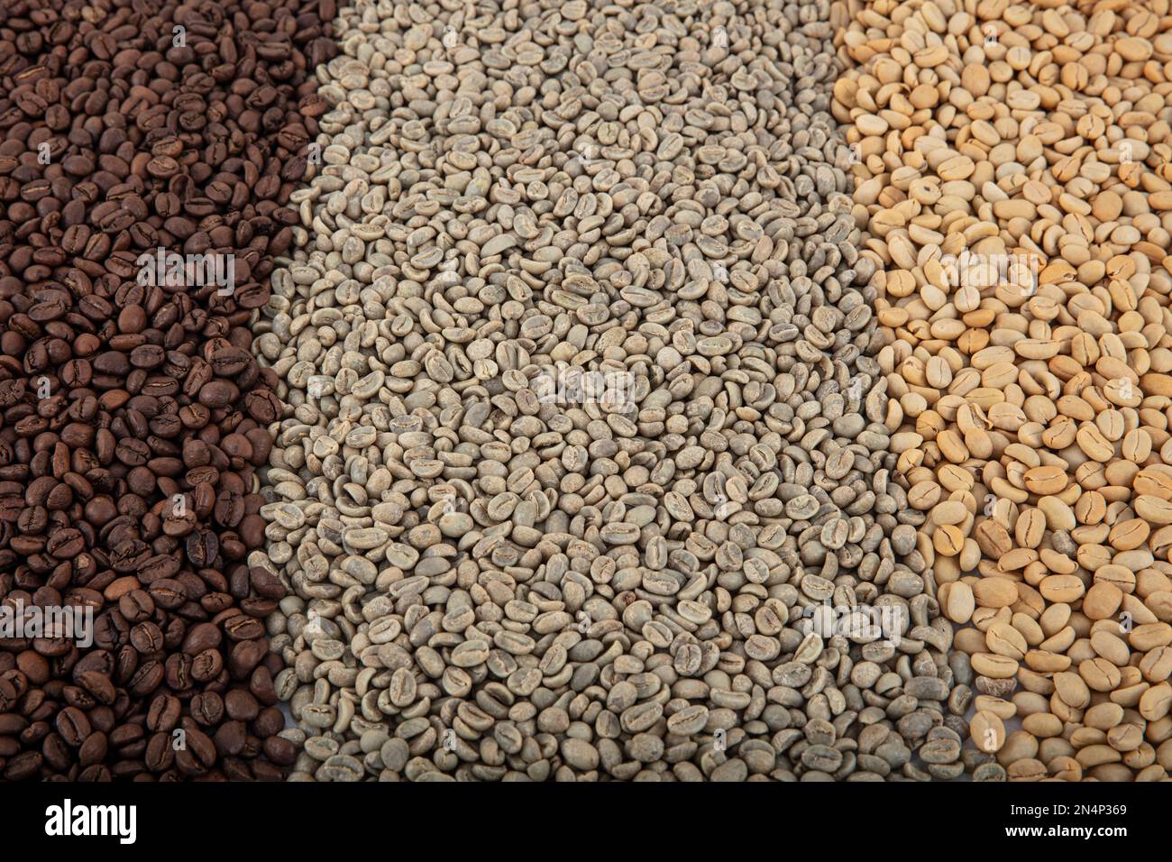 Collage of coffee beans showing various stages of roasting Italian ...