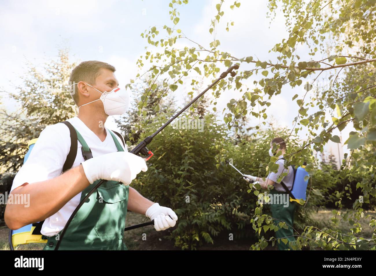 Caucasian gardener professional insecticide spraying hi-res stock ...