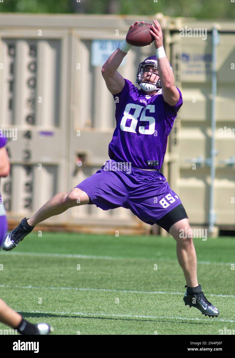 Minnesota Vikings tight end Rhett Ellison receives a pass during the NFL  football team's practice Tuesday, June 7, 2016, in Eden Prairie, Minn. (AP  Photo/Jim Mone Stock Photo - Alamy