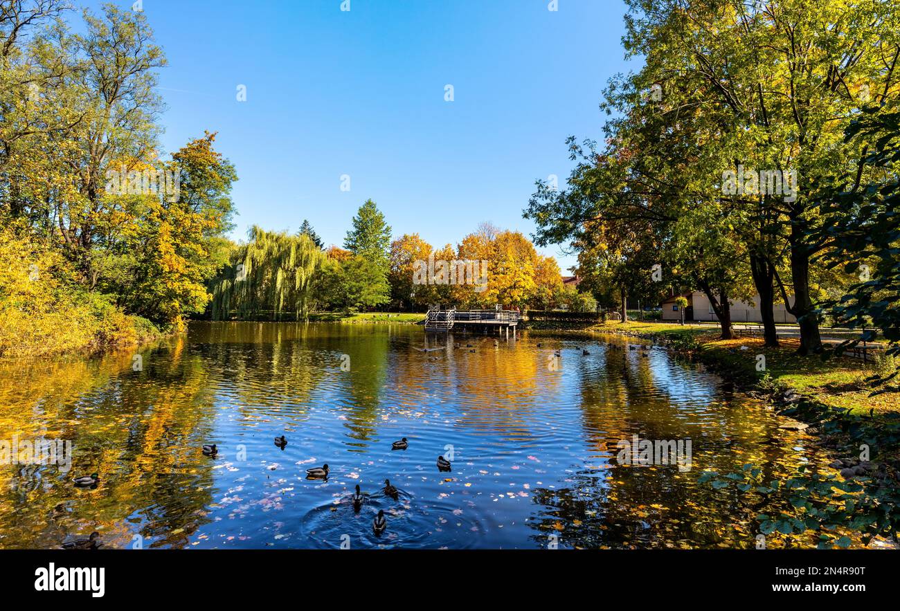 City park and lake with colorful fall trees leaf mosaic in historic old ...