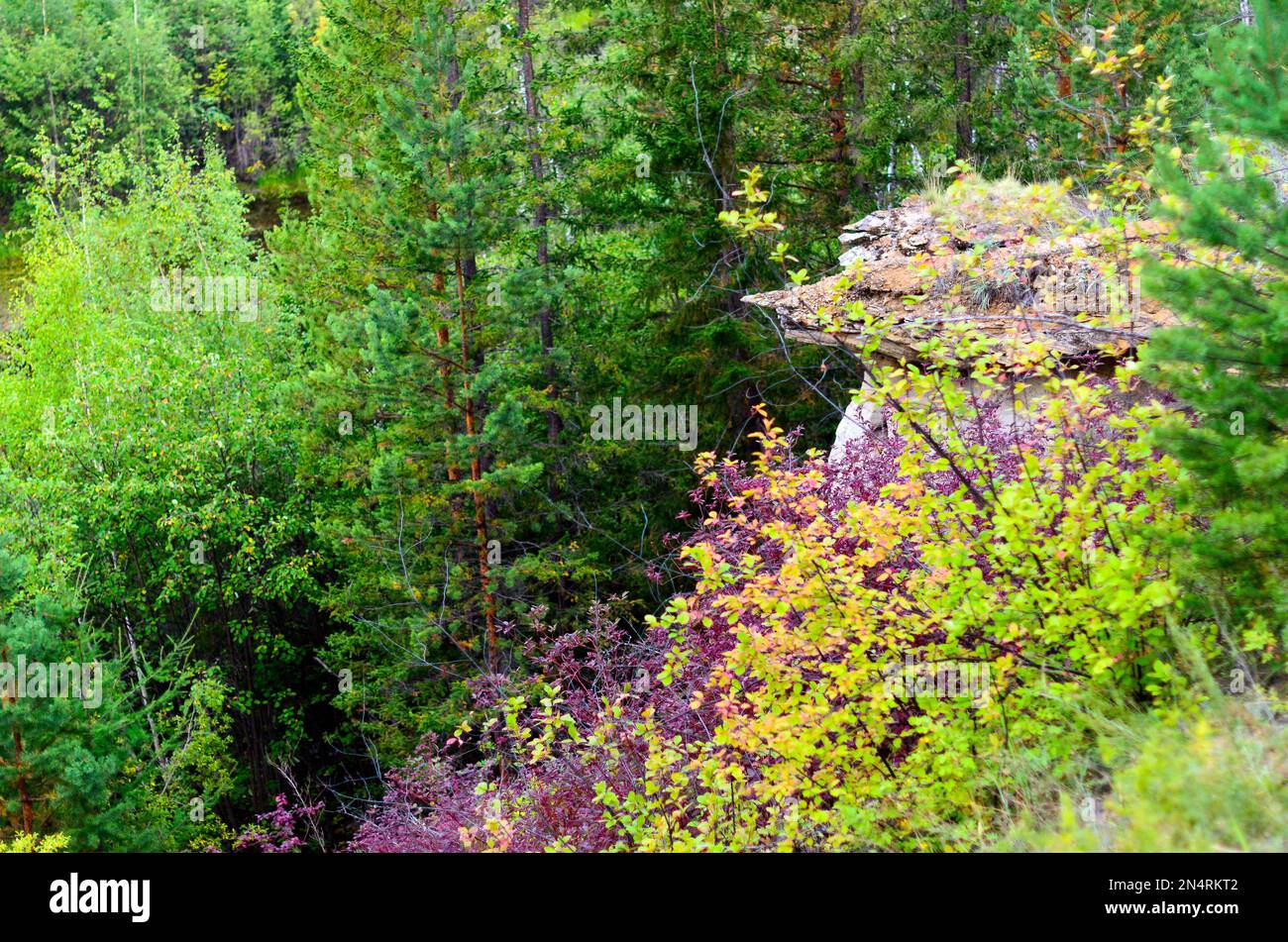 Bright autumn vegetation in the taiga on the mountainside against the background of erosion anomalies - clay mushrooms in Yakutia. Stock Photo