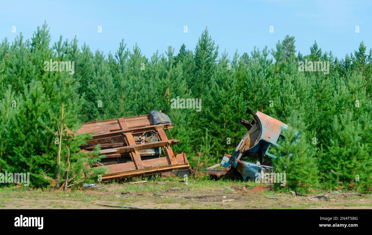 The iron remains of an old Soviet truck are abandoned in a young spruce ...