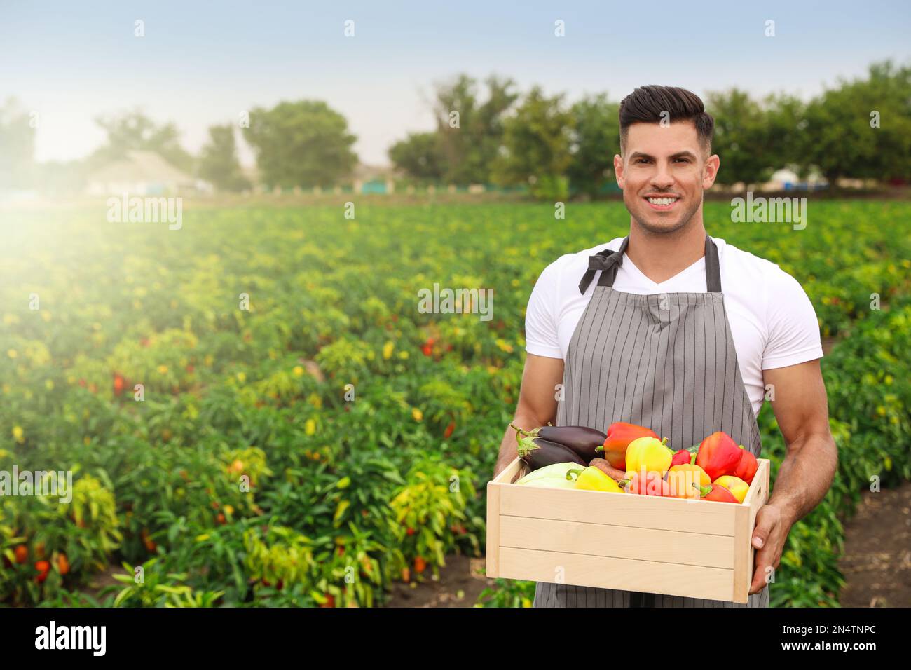 Farmer with wooden crate full of different vegetables in field ...