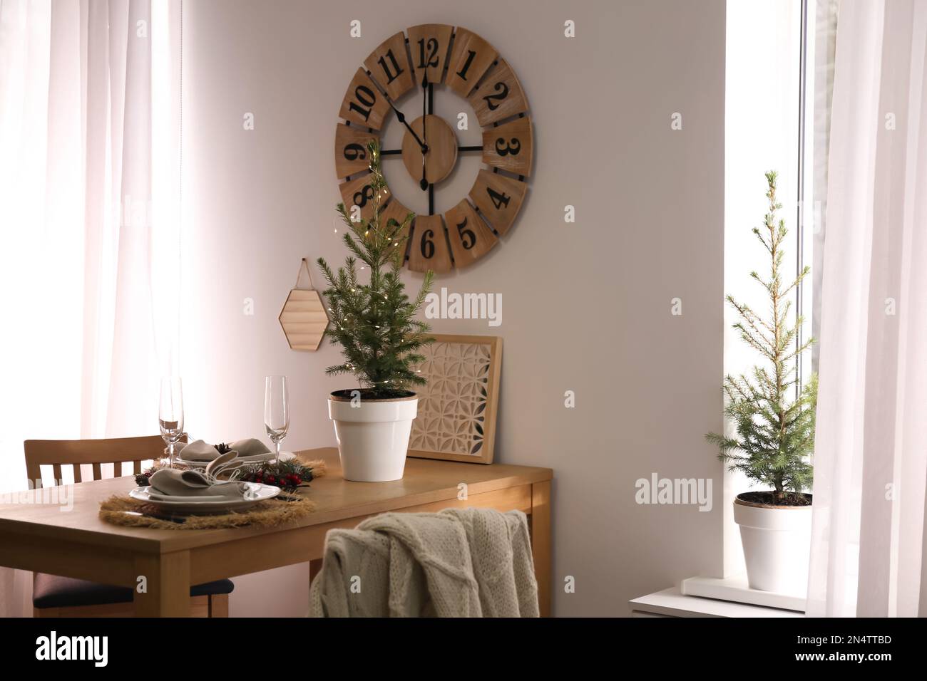Small potted fir trees in dining room. Interior design Stock Photo - Alamy