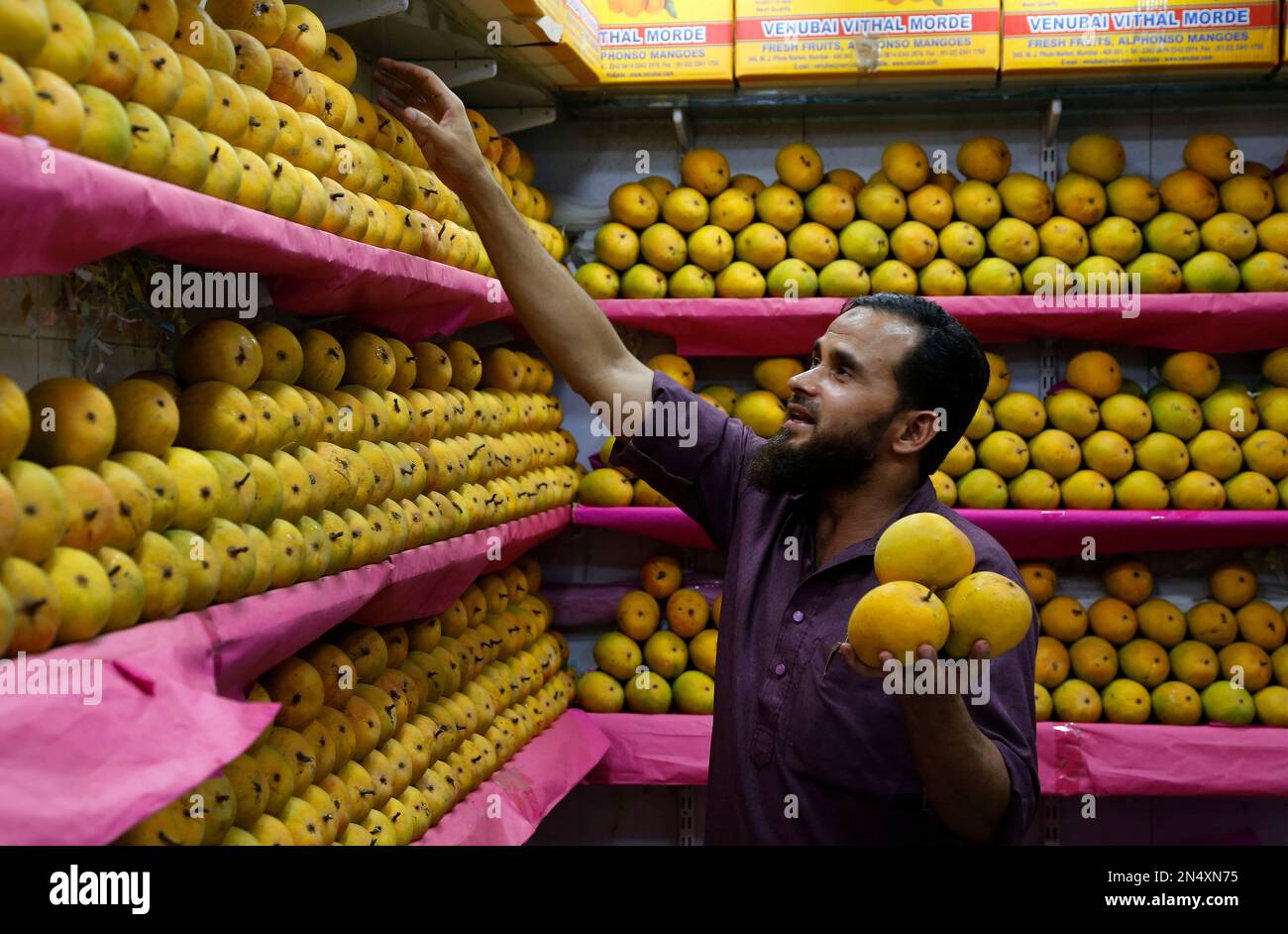 In this Tuesday, May 6, 2014 photo, an Indian vendor displays Alphonso