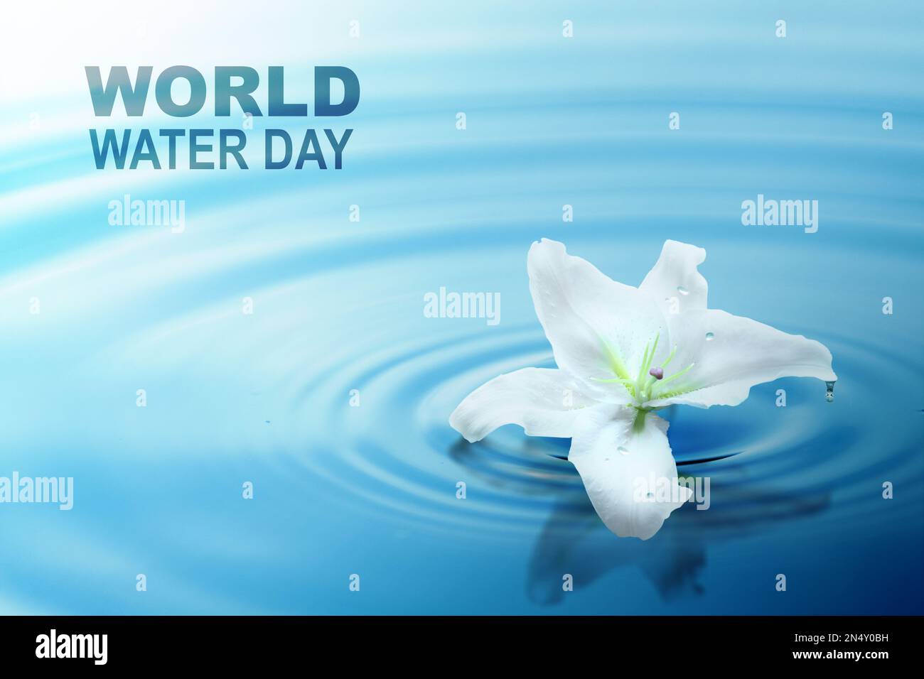 Water drop with lily flower. World Water Day Stock Photo - Alamy
