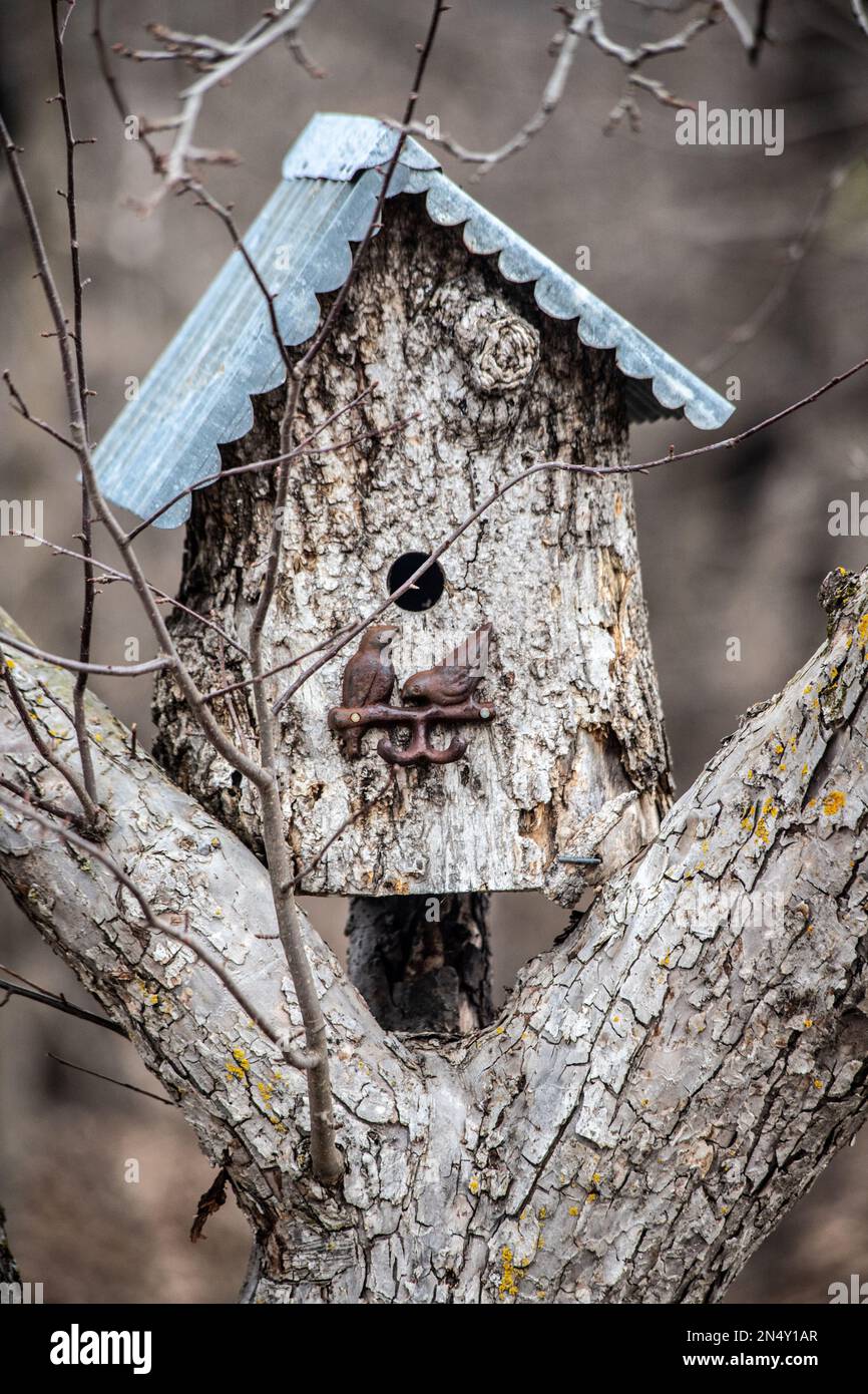 View of Birdhouse made from a tree branch with a blue roof on it and metal ...
