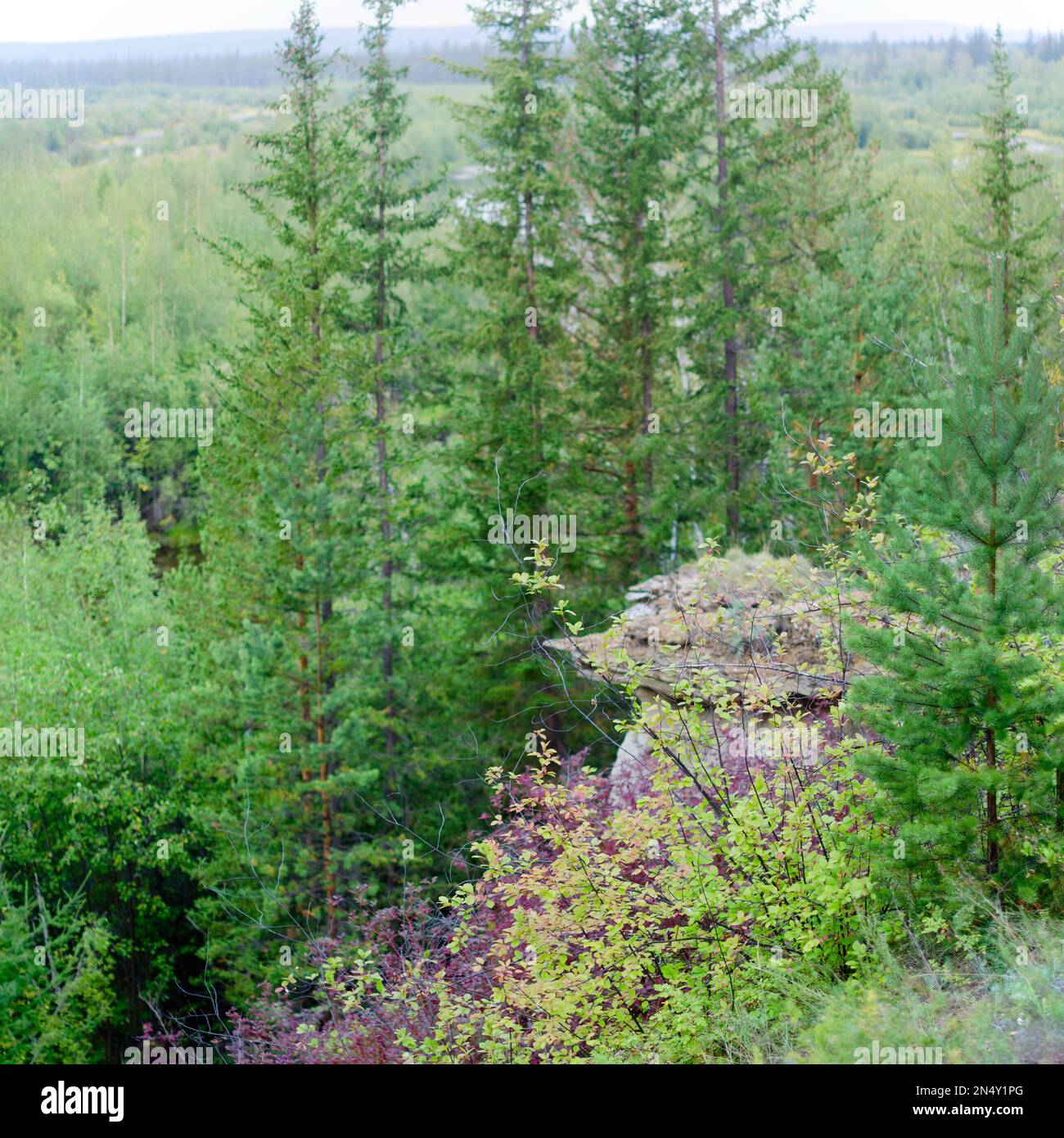 Attractions Yakutia isolated massif of rock - clay mushroom in the wild ...