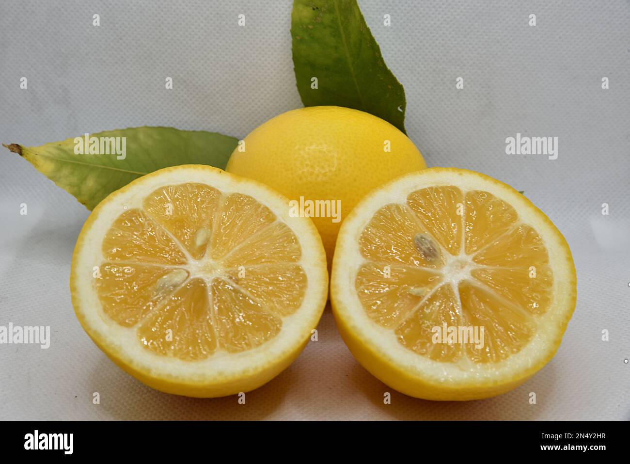 Lemon Squeezy Stock Photo