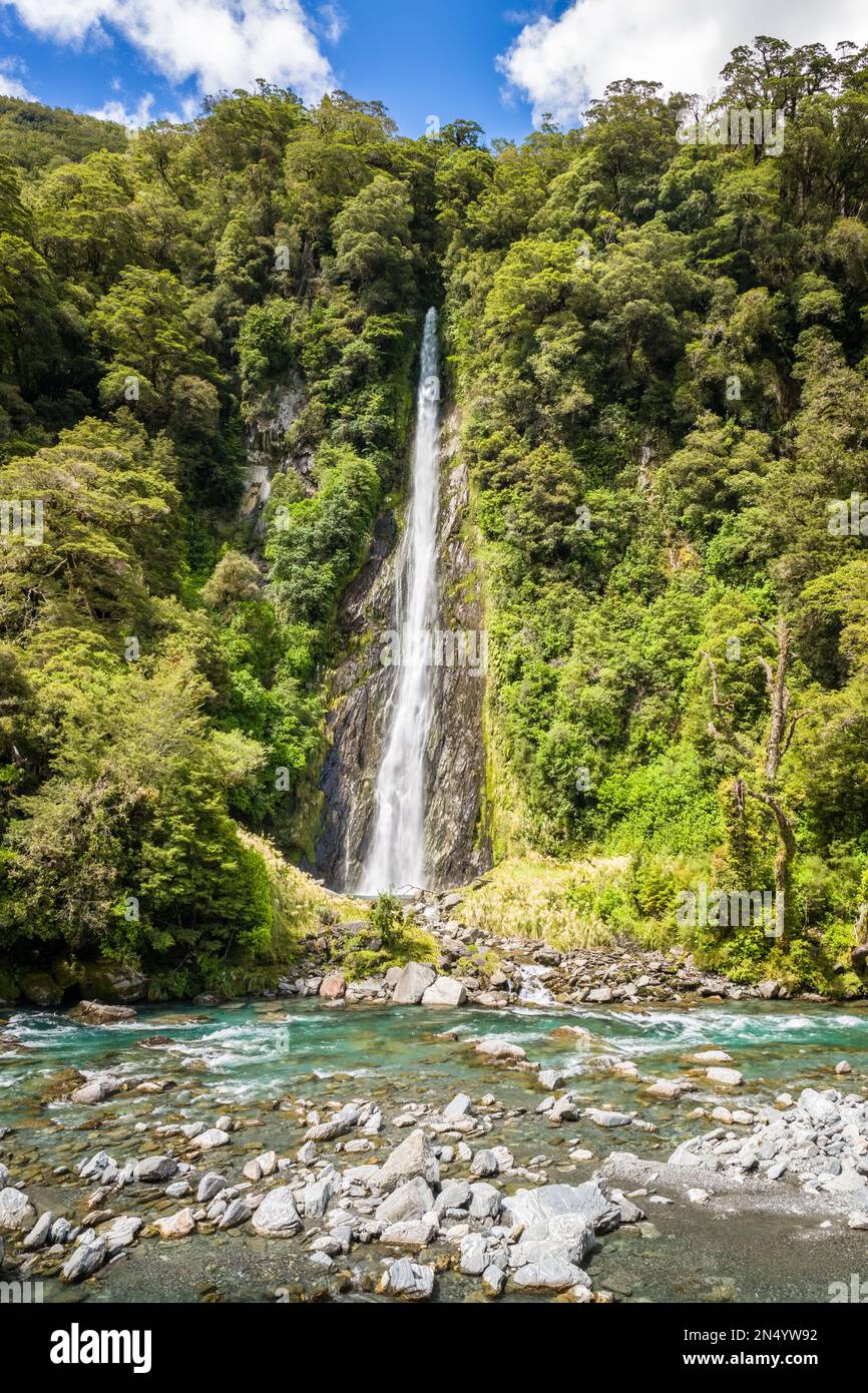 Thunder Creek Falls, a 96-metre high waterfall, cascading through the dense rainforest in the Mount Aspiring National Park on the South Island of New Stock Photo