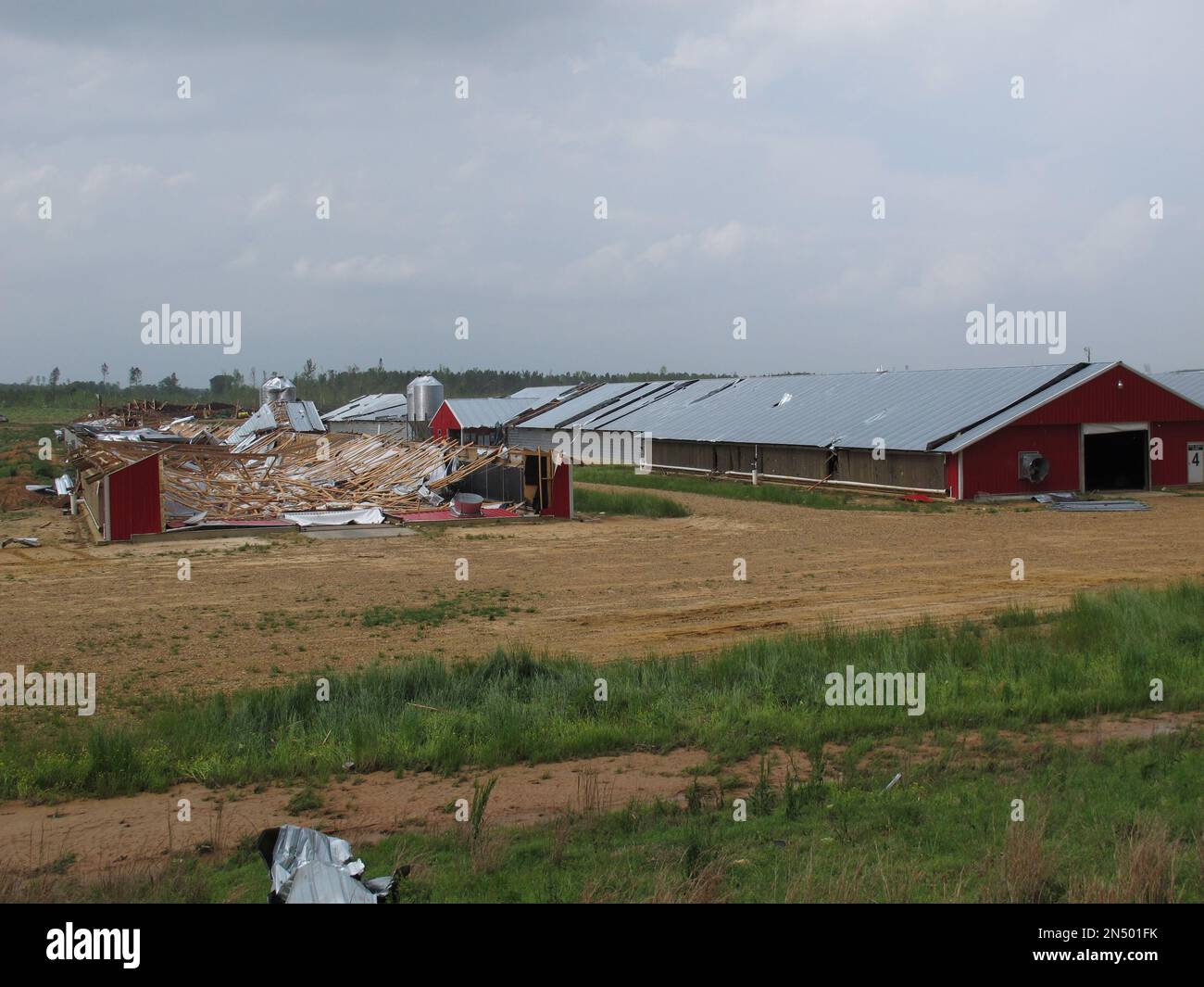 A heavily damaged poultry house at an East Mississippi farm sits