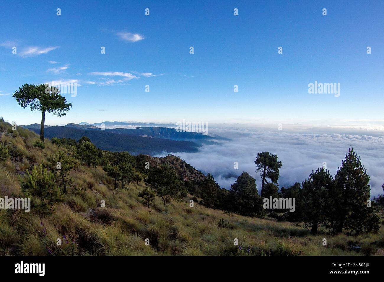 February 8, 2023, Mexico City, Mexico: Landscape of the  Cumbres del Ajusco National Park, one of the national parks in Mexico City. The Ajusco is a l Stock Photo