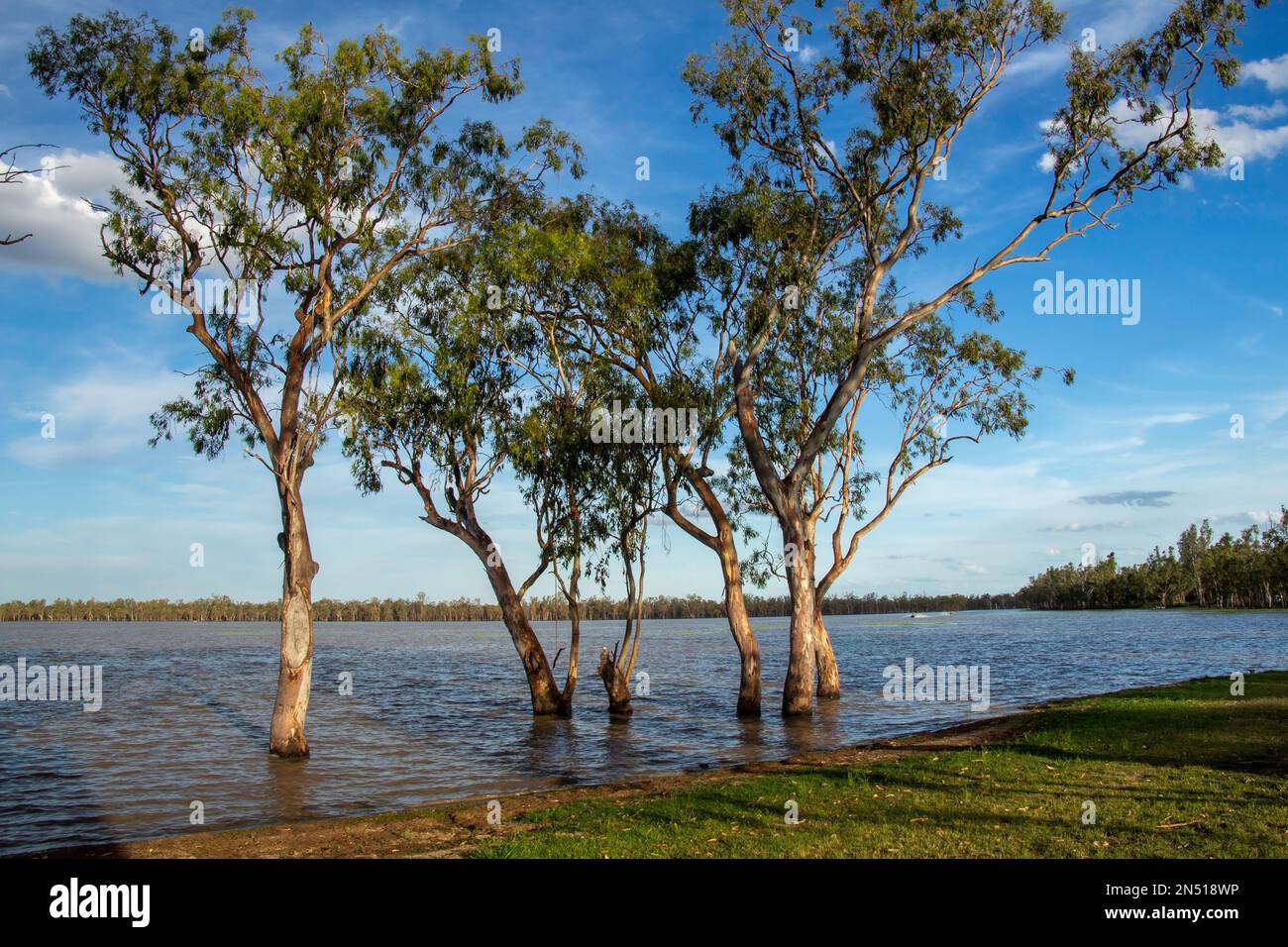 Lake Broadwater at evening time Stock Photo Alamy