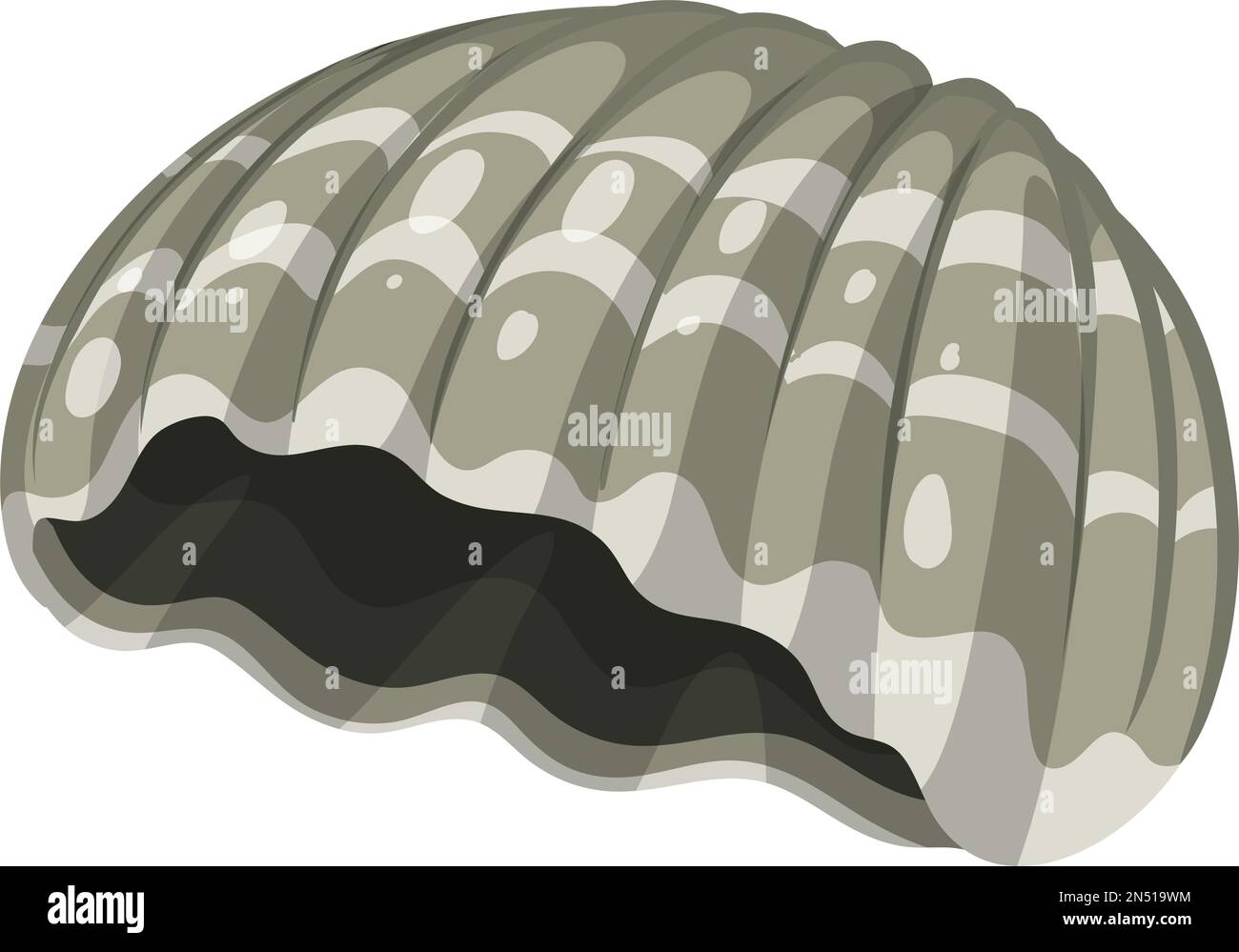 Isolated shell rocky shore illustration Stock Vector Image & Art - Alamy