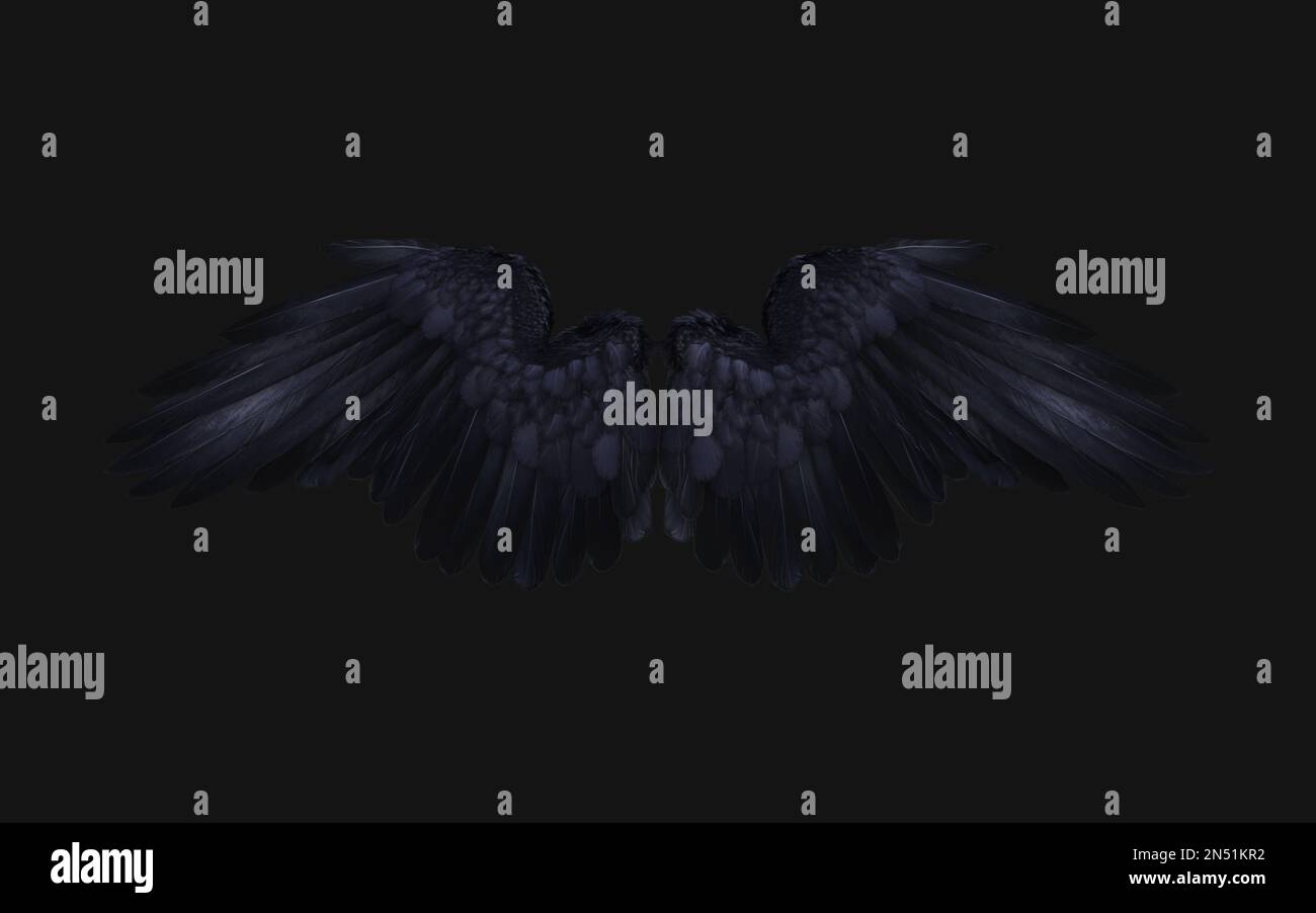 3d Illustration of Crow wing, Demon Wings, Black Wing Plumage Isolated on Black Background. Stock Photo