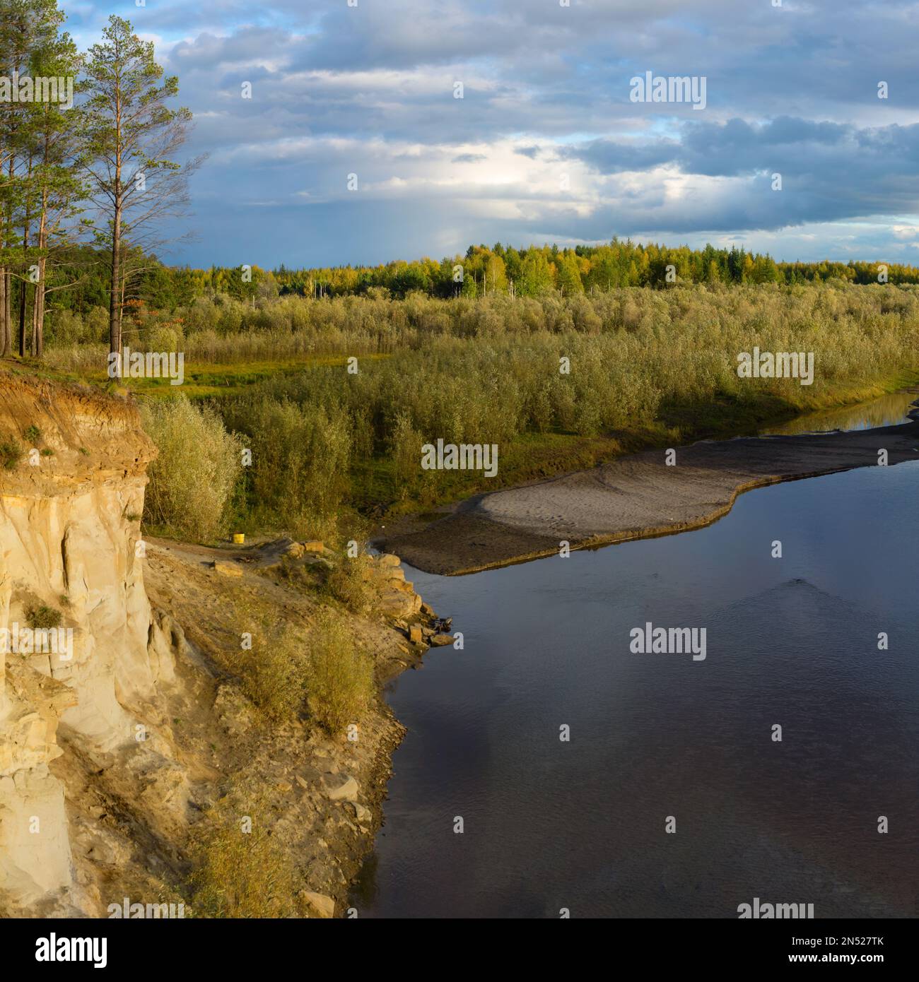 View of the Pine forest on the cliff by the river with the erosion of ...