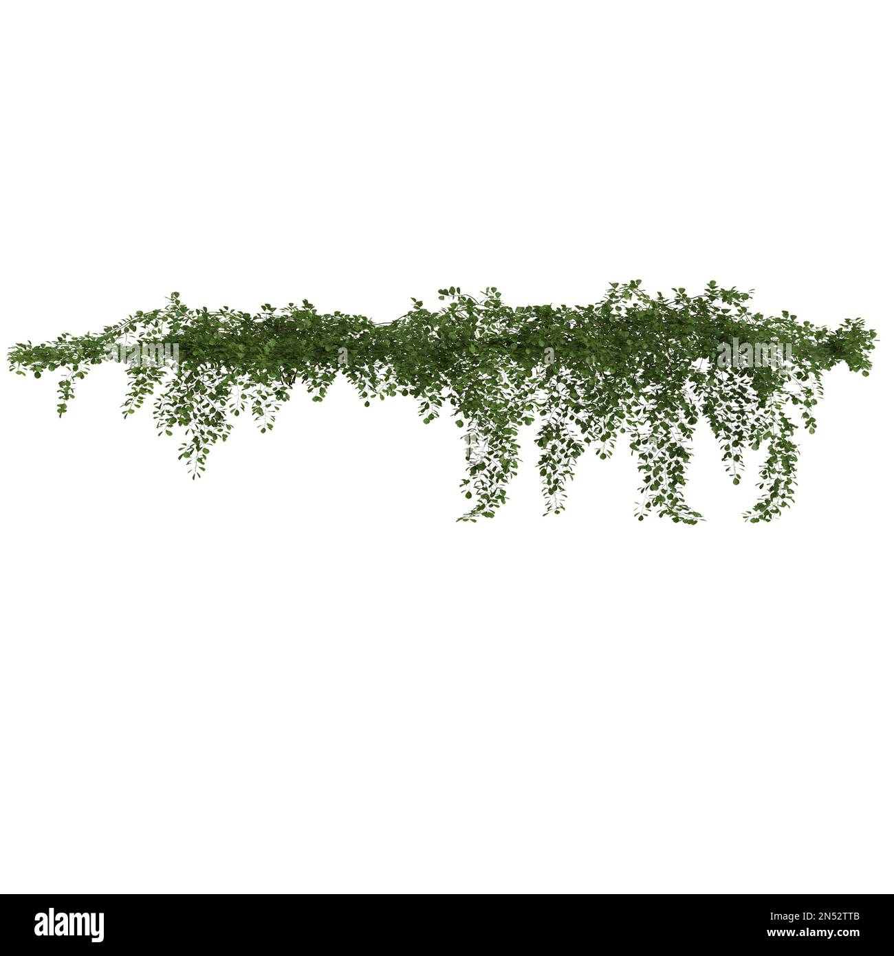 Stunning White Textured Modern Hanging Plants image